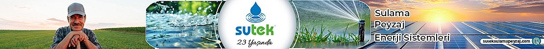 sutek