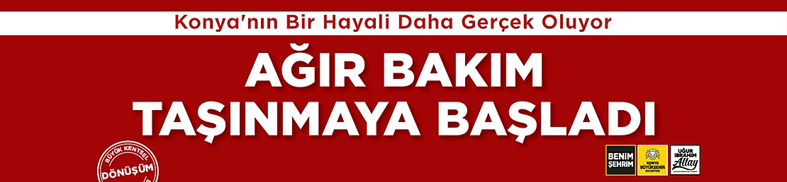 büyüksehiragırbakım