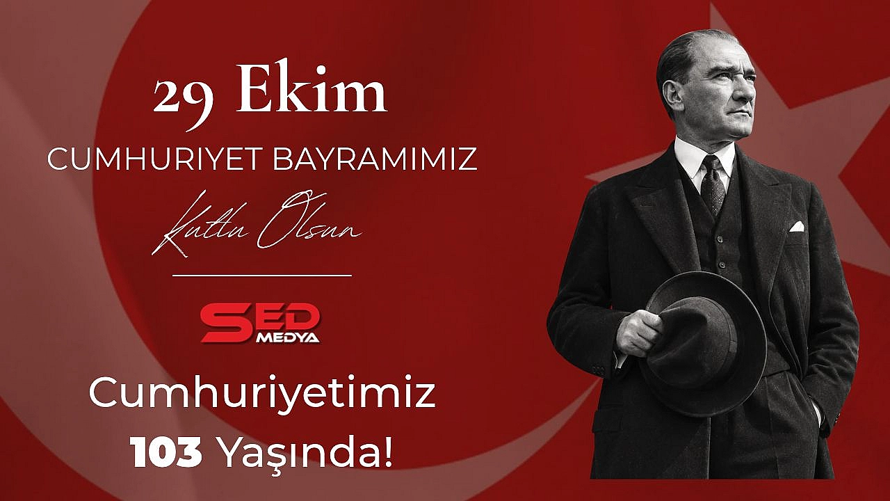SED MEDYA