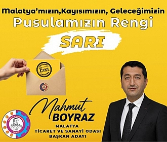 Mahmut Boyraz