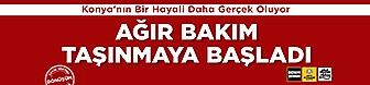 büyüksehiragırbakım