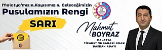 Mahmut Boyraz
